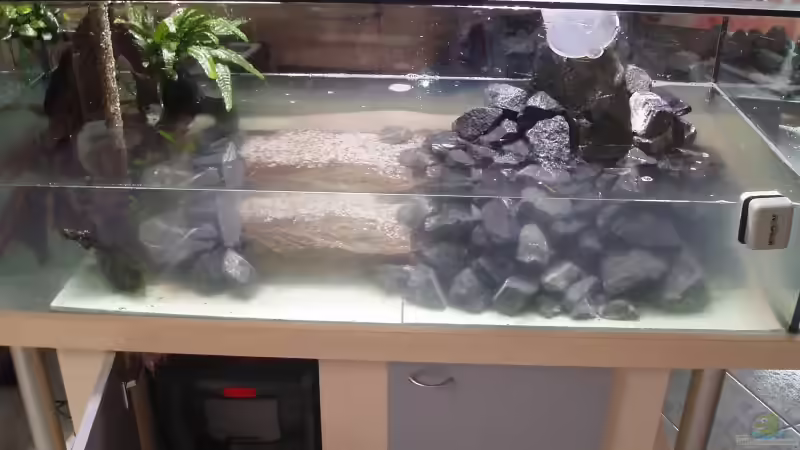 Aquarium Becken 2903 von Stefan Matz (3)