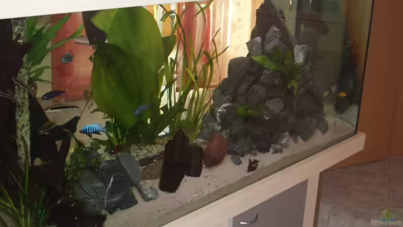 Aquarium Becken 2903 von Stefan Matz (4)