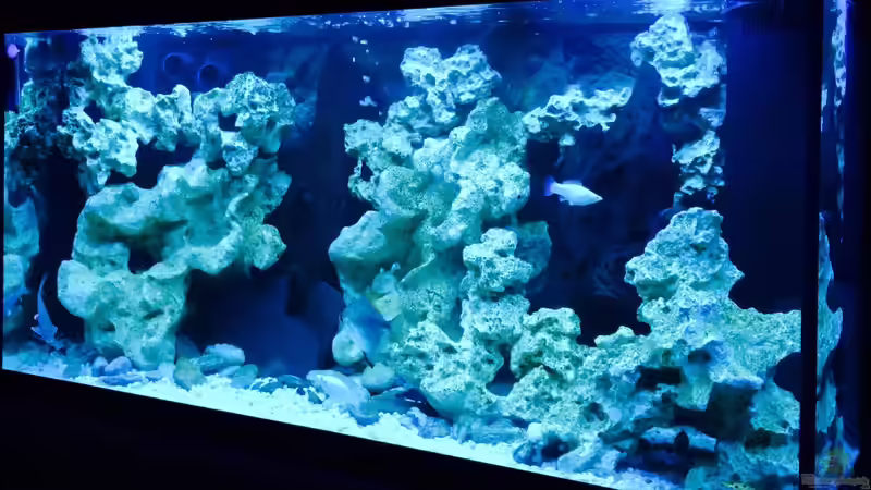 Aquarium Becken 29622 von _JWoww_ (1)