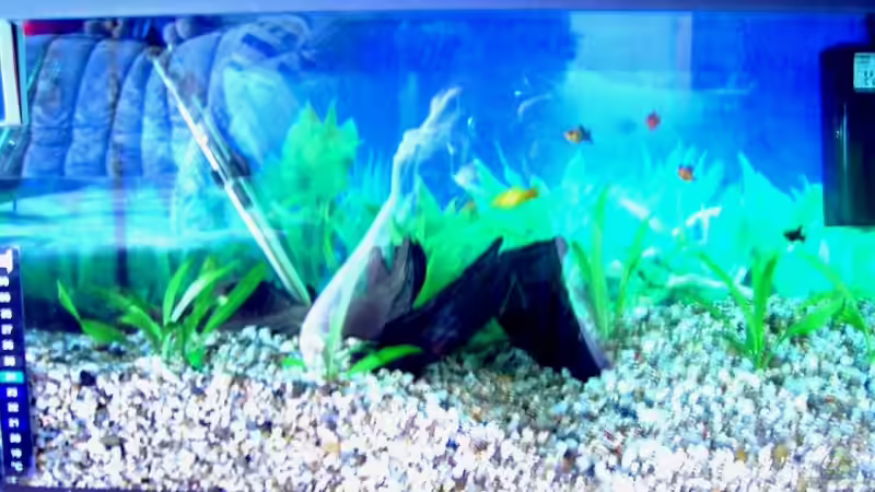 Aquarium Becken 2968 von Heiko Mietz (4)