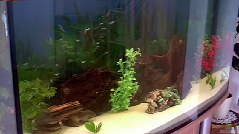 Aquarium Becken 2970 von Robert Schröder (2)
