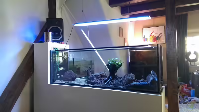 Aquarium Becken 30284 von RenSa (8)