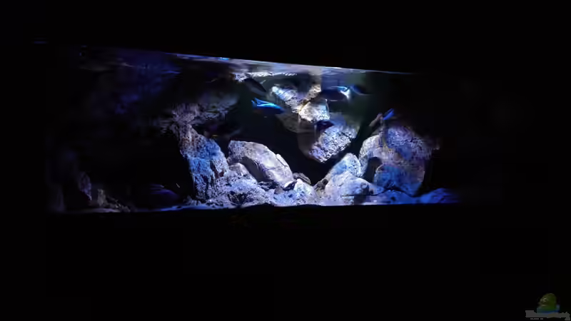 Aquarium Becken 30628 von namaycushfreak (6)