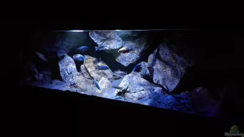 Aquarium Becken 30628 von namaycushfreak (8)