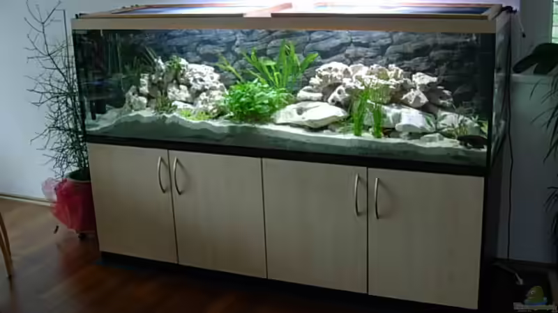 Aquarium Becken 3076 von Stefan Grabher (2)