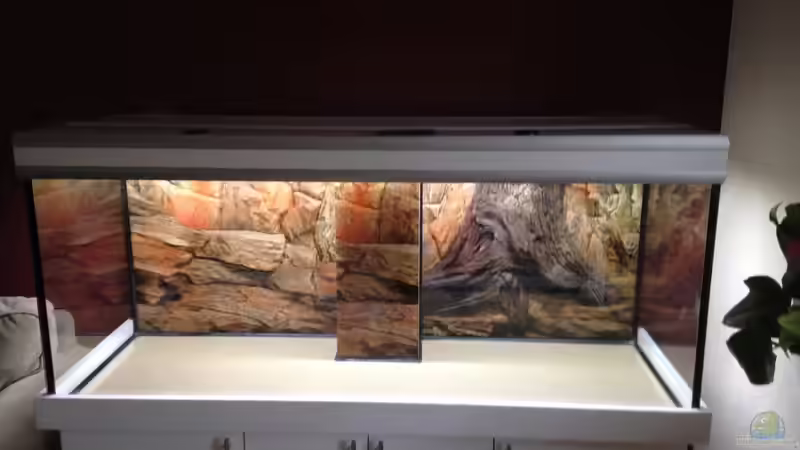 Aquarium Becken 30821 von Alexander Mayer (2)