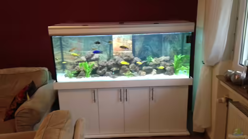 Aquarium Becken 30821 von Alexander Mayer (9)