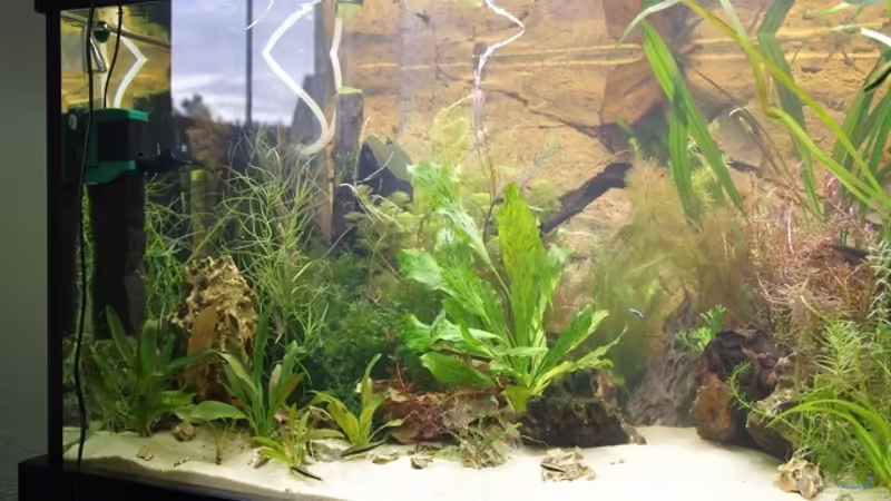 Aquarium Becken 30852 von Nobody (11)