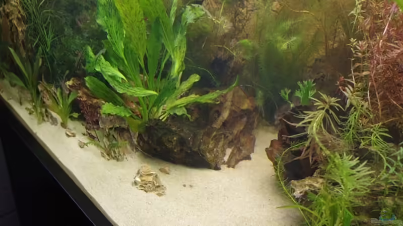 Aquarium Becken 30852 von Nobody (12)