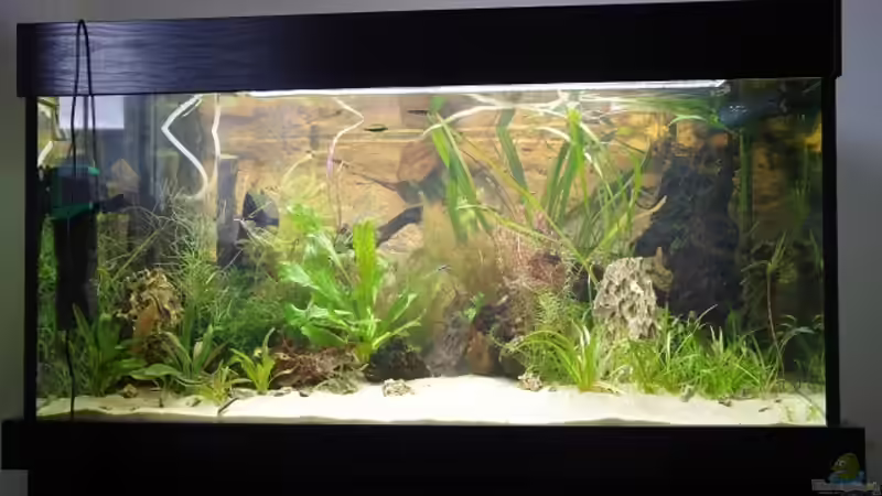 Aquarium Becken 30852 von Nobody (15)