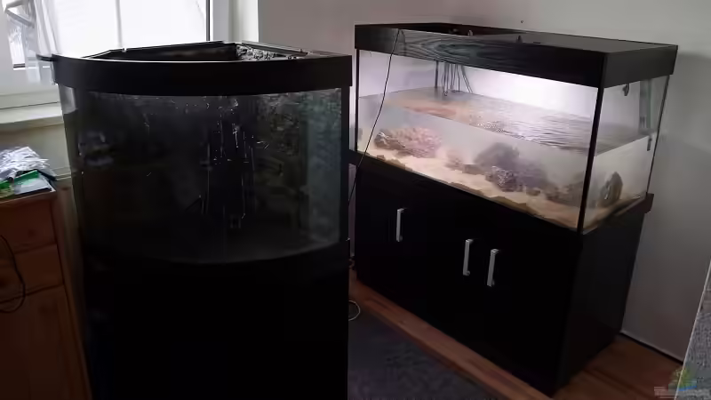 Aquarium Becken 30852 von Nobody (18)