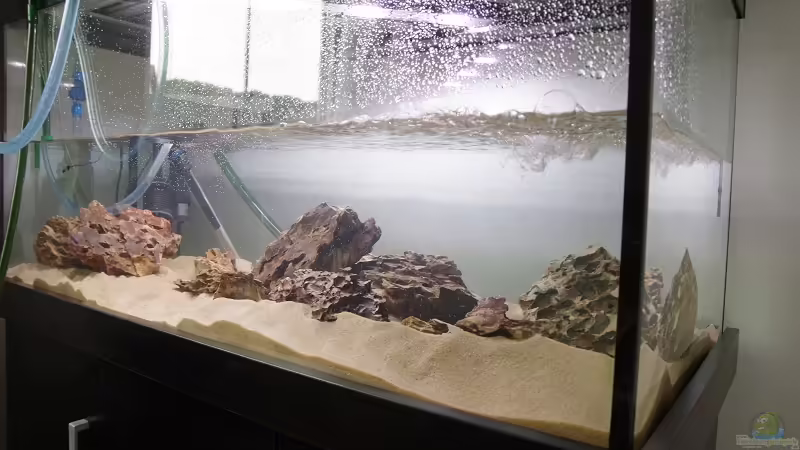 Aquarium Becken 30852 von Nobody (20)