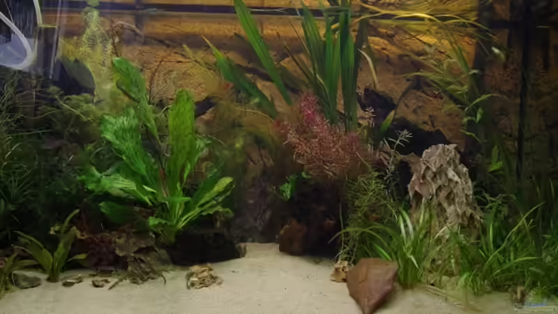 Aquarium Becken 30852 von Nobody (5)