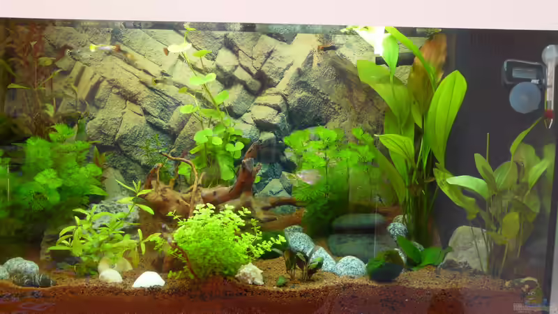 Aquarium Becken 30874 von ATinUN (4)