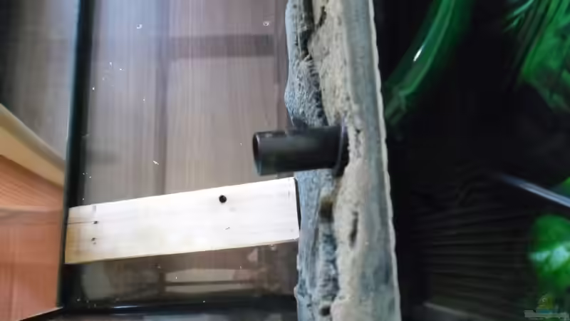 Aquarium Becken 30918 von Ruppinho (6)