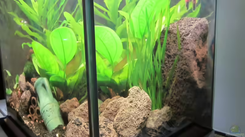 Aquarium Becken 30935 von RenSa (2)