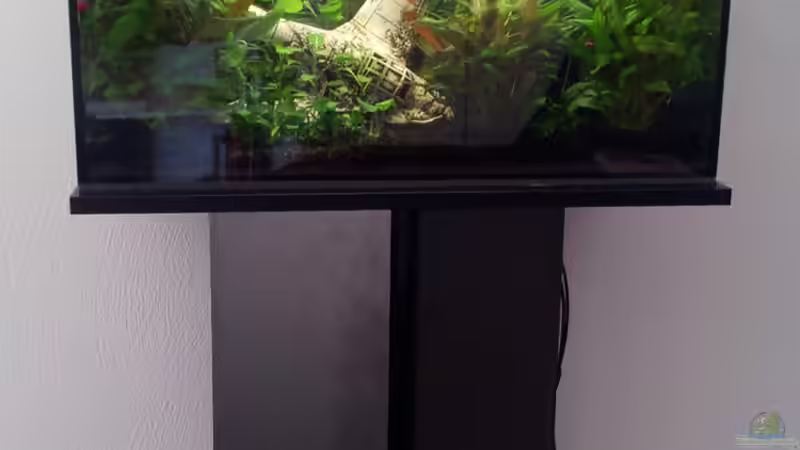 Aquarium Becken 31065 von Hans-Hubert (4)