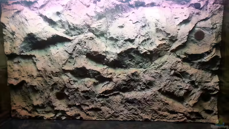 Aquarium Becken 31106 von Stefan Berthold (30)