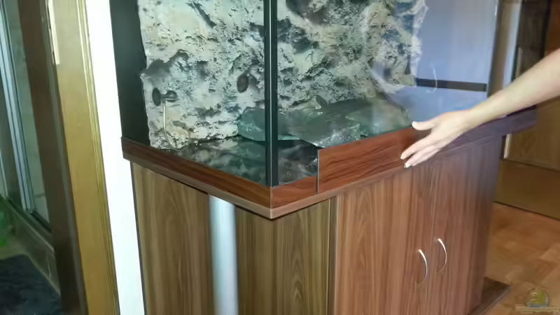 Aquarium Becken 31106 von Stefan Berthold (32)