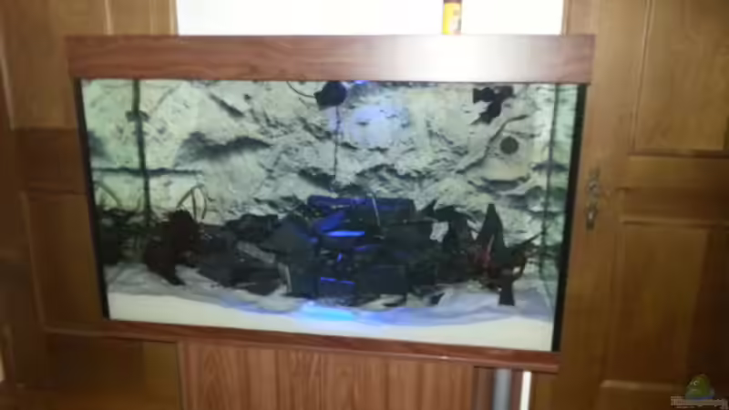 Aquarium Becken 31106 von Stefan Berthold (40)