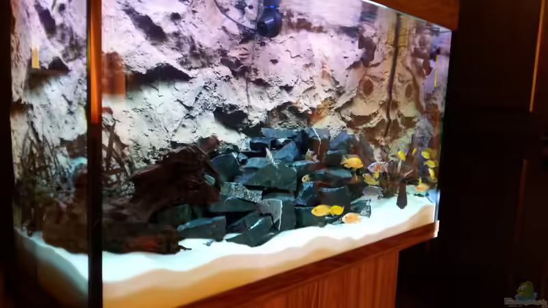 Aquarium Becken 31106 von Stefan Berthold (44)