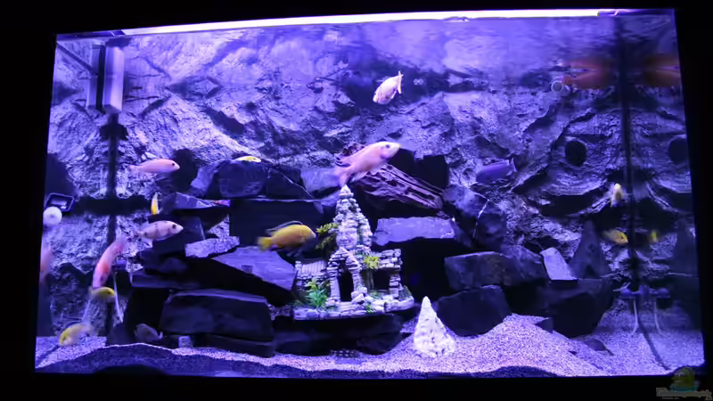 Aquarium Becken 31106 von Stefan Berthold (6)