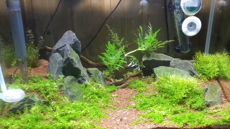 Aquarium Becken 31169 von SK Aquarienleben (2)