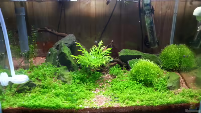 Aquarium Becken 31169 von SK Aquarienleben (5)