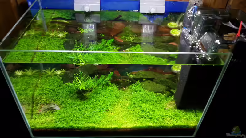 Aquarium Becken 31169 von SK Aquarienleben (6)