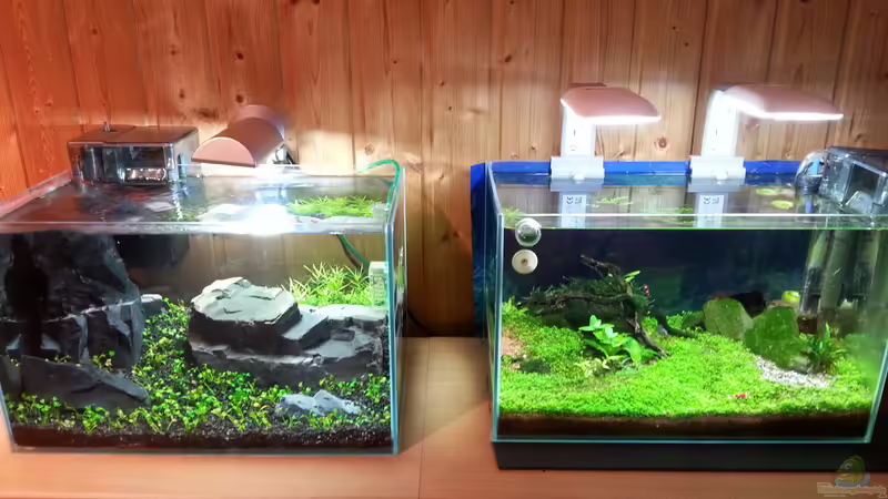 Aquarium Becken 31169 von SK Aquarienleben (9)