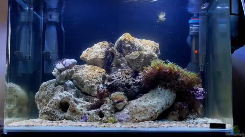 Aquarium Becken 31417 von die Perle... (3)