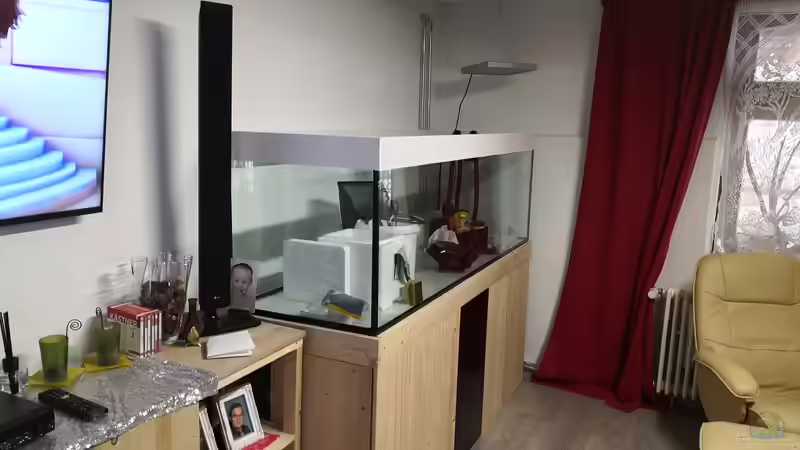 Aquarium Becken 31478 von Marcel Müller (10)