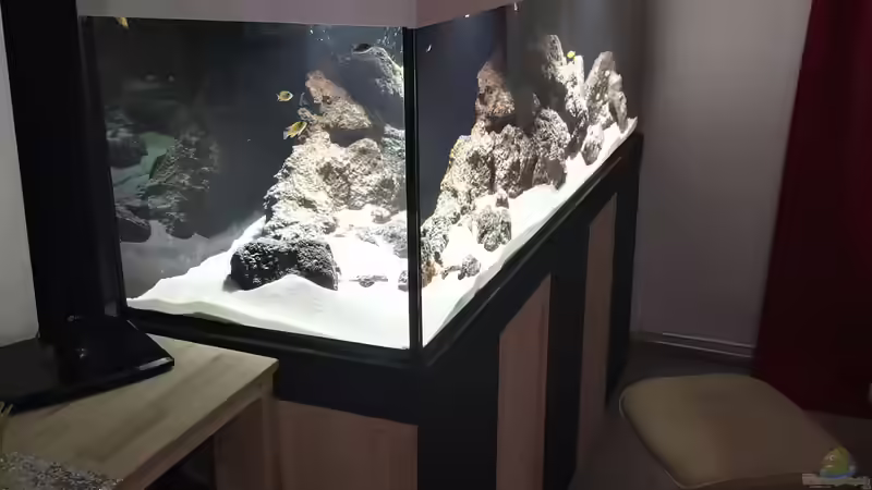 Aquarium Becken 31478 von Marcel Müller (21)