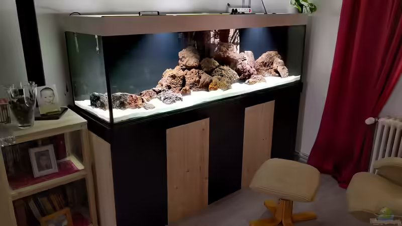 Aquarium Becken 31478 von Marcel Müller (22)