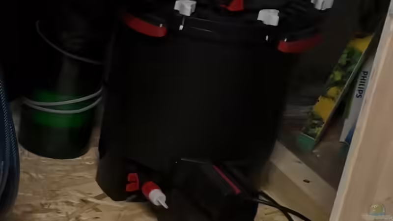 Aquarium Becken 31478 von Marcel Müller (33)