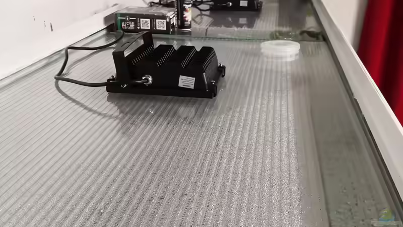 Aquarium Becken 31478 von Marcel Müller (37)