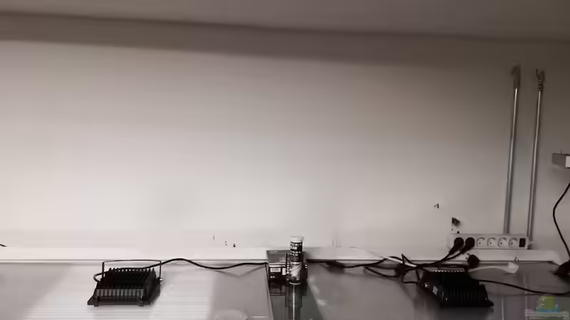 Aquarium Becken 31478 von Marcel Müller (40)