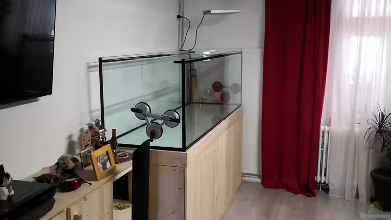 Aquarium Becken 31478 von Marcel Müller (43)