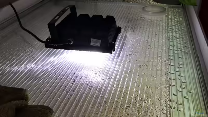 Aquarium Becken 31478 von Marcel Müller (44)