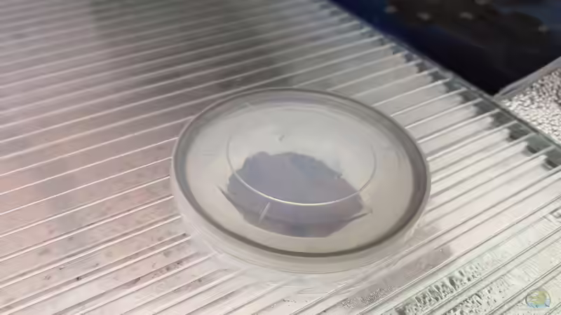 Aquarium Becken 31478 von Marcel Müller (46)