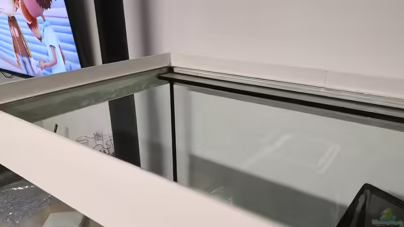 Aquarium Becken 31478 von Marcel Müller (51)