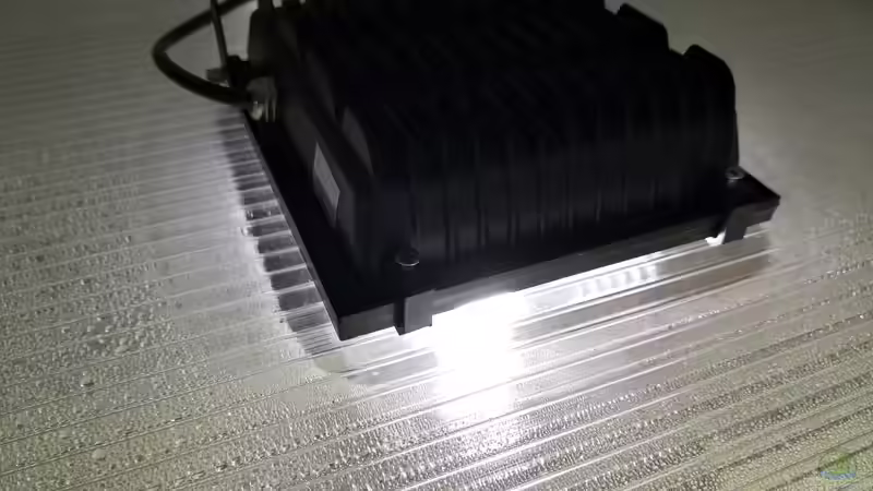 Aquarium Becken 31478 von Marcel Müller (58)