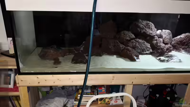 Aquarium Becken 31478 von Marcel Müller (9)