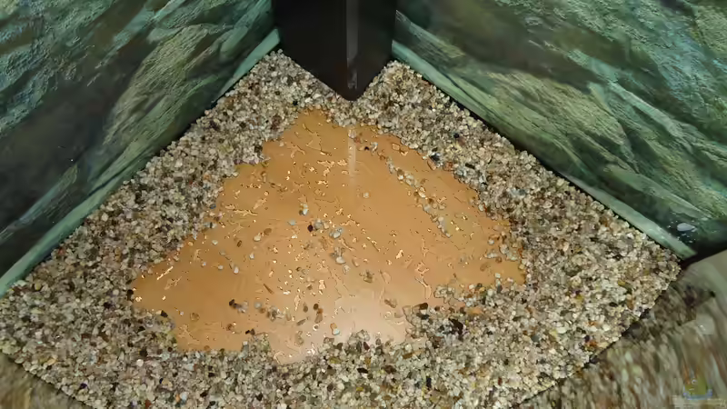 Aquarium Becken 31550 Juwel Trigon 190 von atom010 (11)