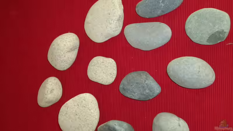 Aquarium Becken 31550 Juwel Trigon 190 von atom010 (3)