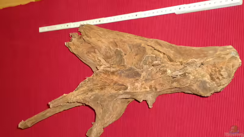 Aquarium Becken 31550 Juwel Trigon 190 von atom010 (4)