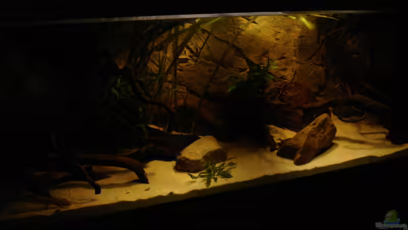 Aquarium Becken 31552 von SML (9)