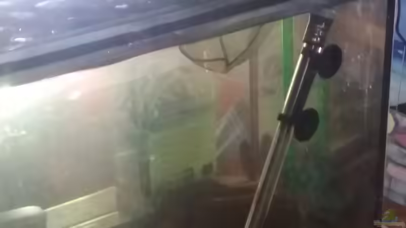 Aquarium Becken 31561 von Ronny Haeringer (14)