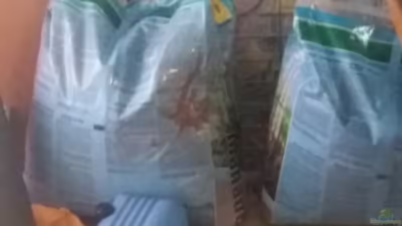 Aquarium Becken 31561 von Ronny Haeringer (3)