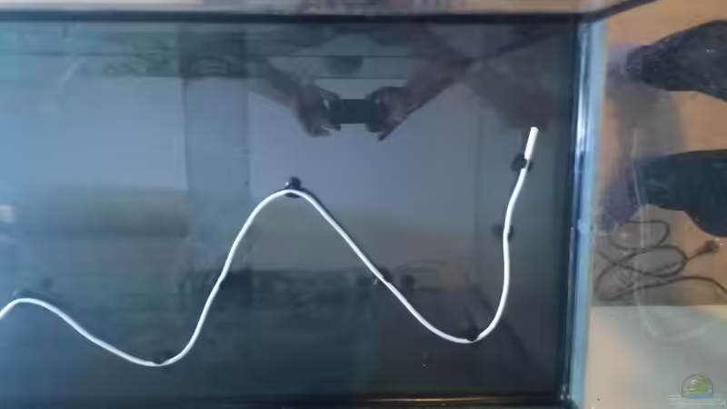 Aquarium Becken 31561 von Ronny Haeringer (4)